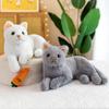Cute Cat Doll Foreign Trade Cross-border Plush Toy Pet Kitten Home Furnishing Car Ornament Children's Gift