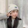 Cute headgear wool hat women's spring and autumn knitted hat women's winter warm and trendy versatile suitable for big head circumference