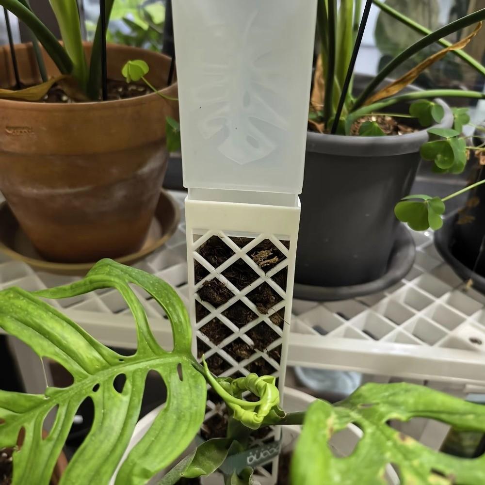 Palo de Trepa para Plantas en Forma de D Caudal Ajustable Poste Columna de Musgo Flores en Maceta