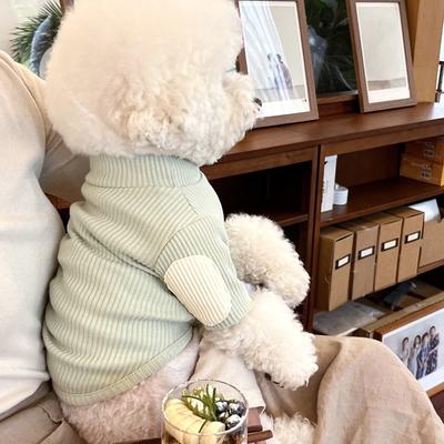 Automne Hiver Vêtements Chauds pour Chien Chat Coton Doublure Veste Mode Bichon Teddy Épaissir Vêtements Fournitures pour Animaux Accessoires