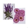 20 Stuks Echte Geperste Paarse Bloemen Gedroogde Bloem DIY Versieringen Knutselen