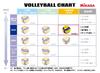 MIKASA Lightweight Certified by the Japan Volleyball for Elementary School Recommended Internal Pressure Volleyball, No. 4, Association, Students,