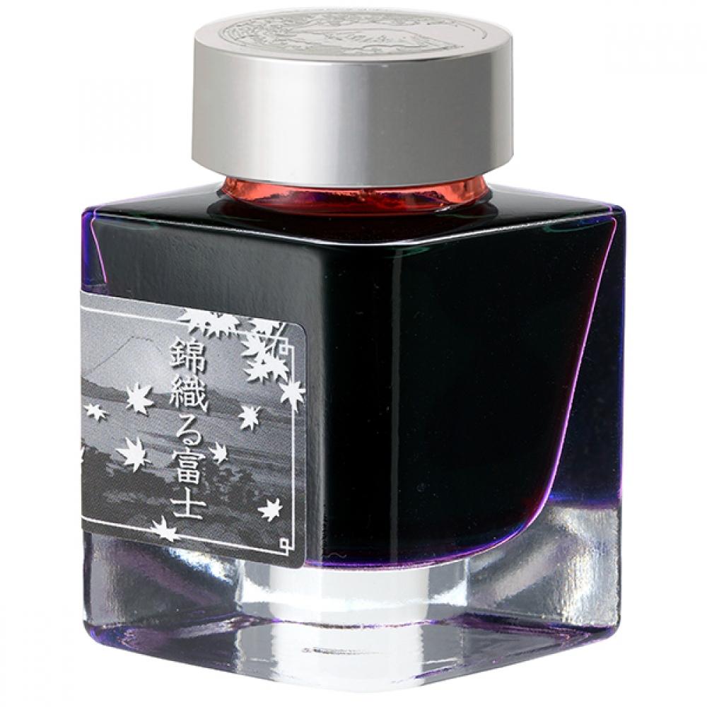 Platinum Fountain Pen Fuji Cloudscape Limited Century Fountain Pen