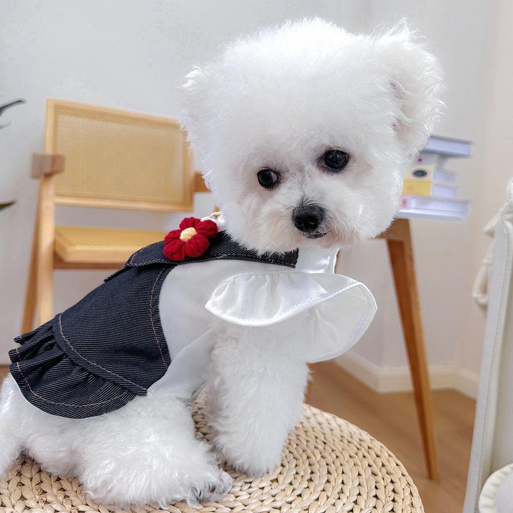 Pet circle dog cat clothes pocket skirt collection denim flower medium and small dog small red flower strap dress