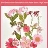 Autumn Dried Flower Bookmark Kit: Transparent Leaf Specimen with Lamination Film Stickers