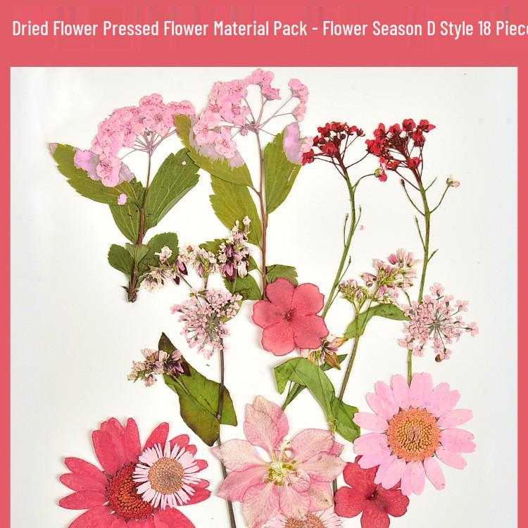 Autumn Dried Flower Bookmark Kit: Transparent Leaf Specimen with Lamination Film Stickers