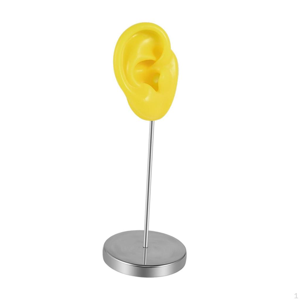 Part of The Body Silicone Ear Model, A Mannequin Earring