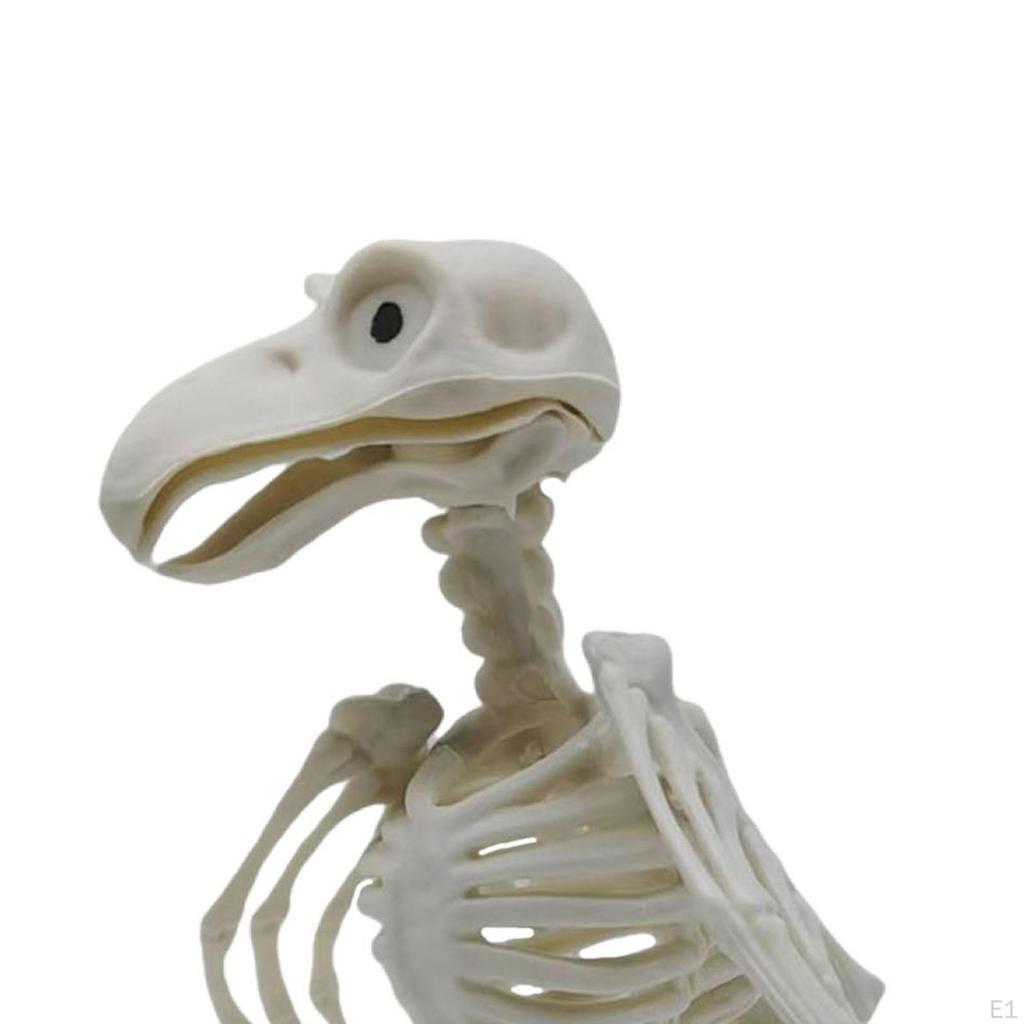 Halloweenská vrána kostra dekorace ozdoba simulace strašidelná zvířecí kost figurka pro