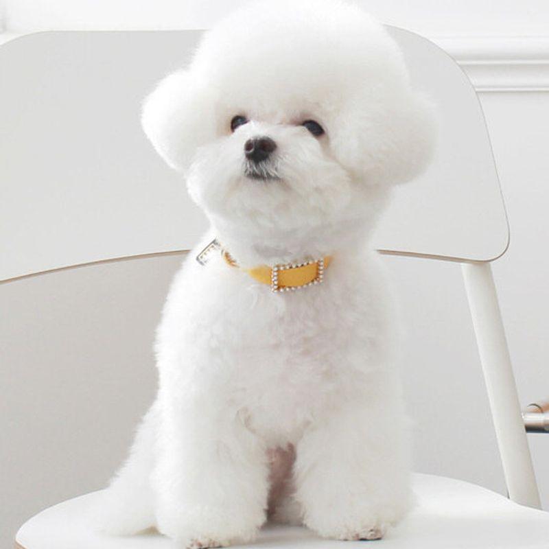 MAISON DE MIU Square Pearl Collar_Yellow