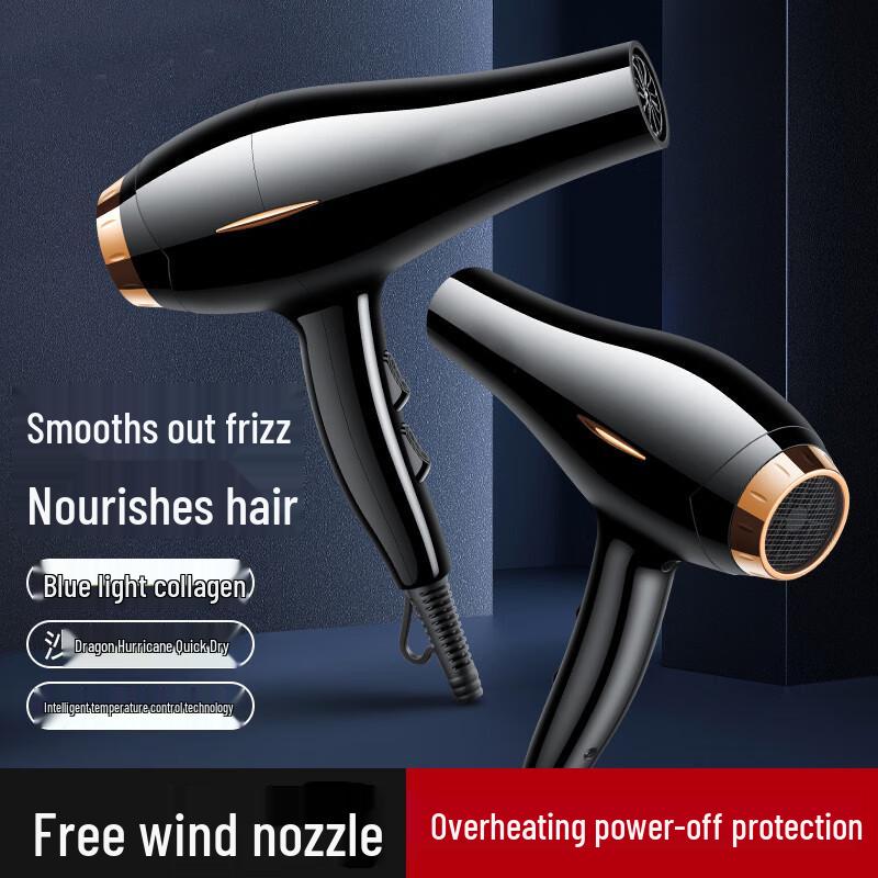 Shenbaolai Professional Hair Dryer