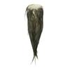 TIEMCO Fly Material Metz Cock Saddle Dan 92227 162000292227 #2