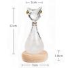 1PC Weather Forecast Bottle Anderson Cat Storm Bottle Birthday Gift Gift Egyptian Cat Weather Bottle