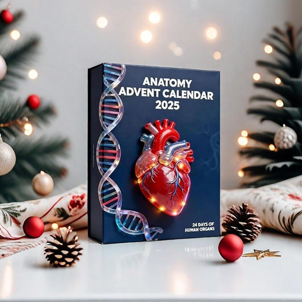 2025 Anatomys Advents Calendar Xmas Tree Hanging Pendants For Christmas Tree Decoration
