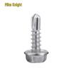 410 Stainless Steel Hex Head Washer Self-Drilling Tapping Screw M4.2 M4.8 Swallowtail Wood Screw