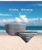 Men's Striped Triangle Swim Trunks - Fashionable Adult Swimsuit S3925