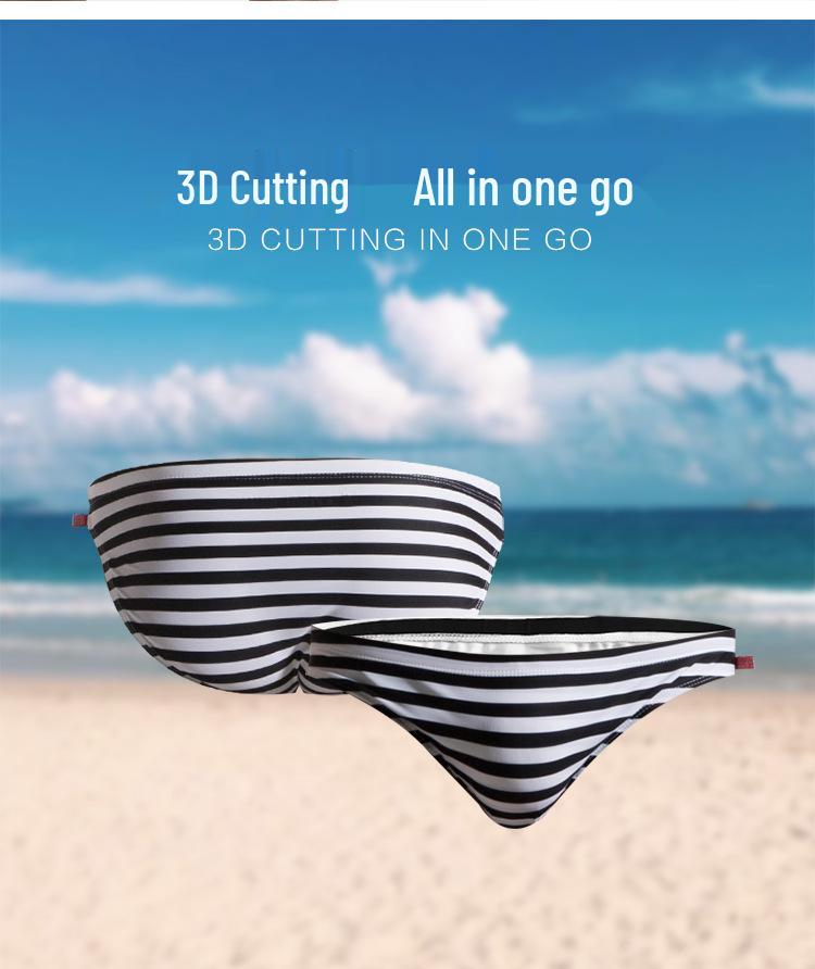 Men's Striped Triangle Swim Trunks - Fashionable Adult Swimsuit S3925