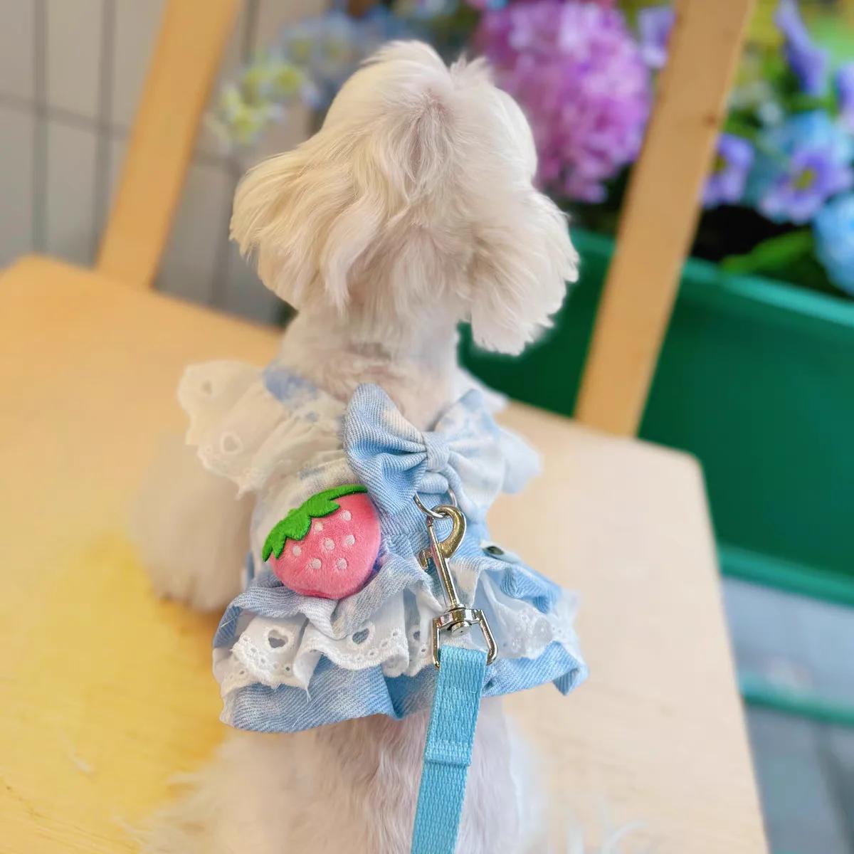 

Princess Dog Harness and Leash Set Sweet Strawberry Lace Plaid Puppy Vest Harness for Small Dogs Cats Chihuahua Pink Blue XS Chest 26 to 28cm синий