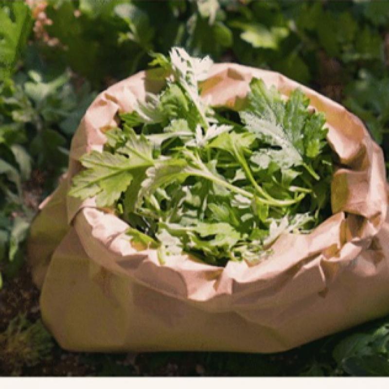 I M froM Mugwort Sheet Mask 1 Sheet