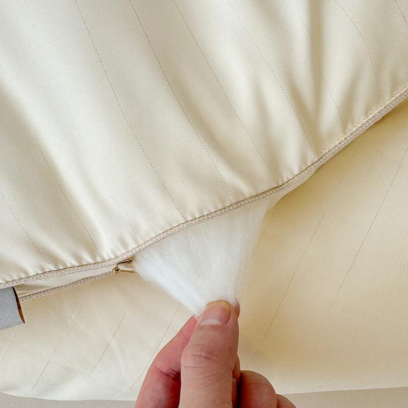 Yalu Milk Protein Soybean Fiber Winter Quilt