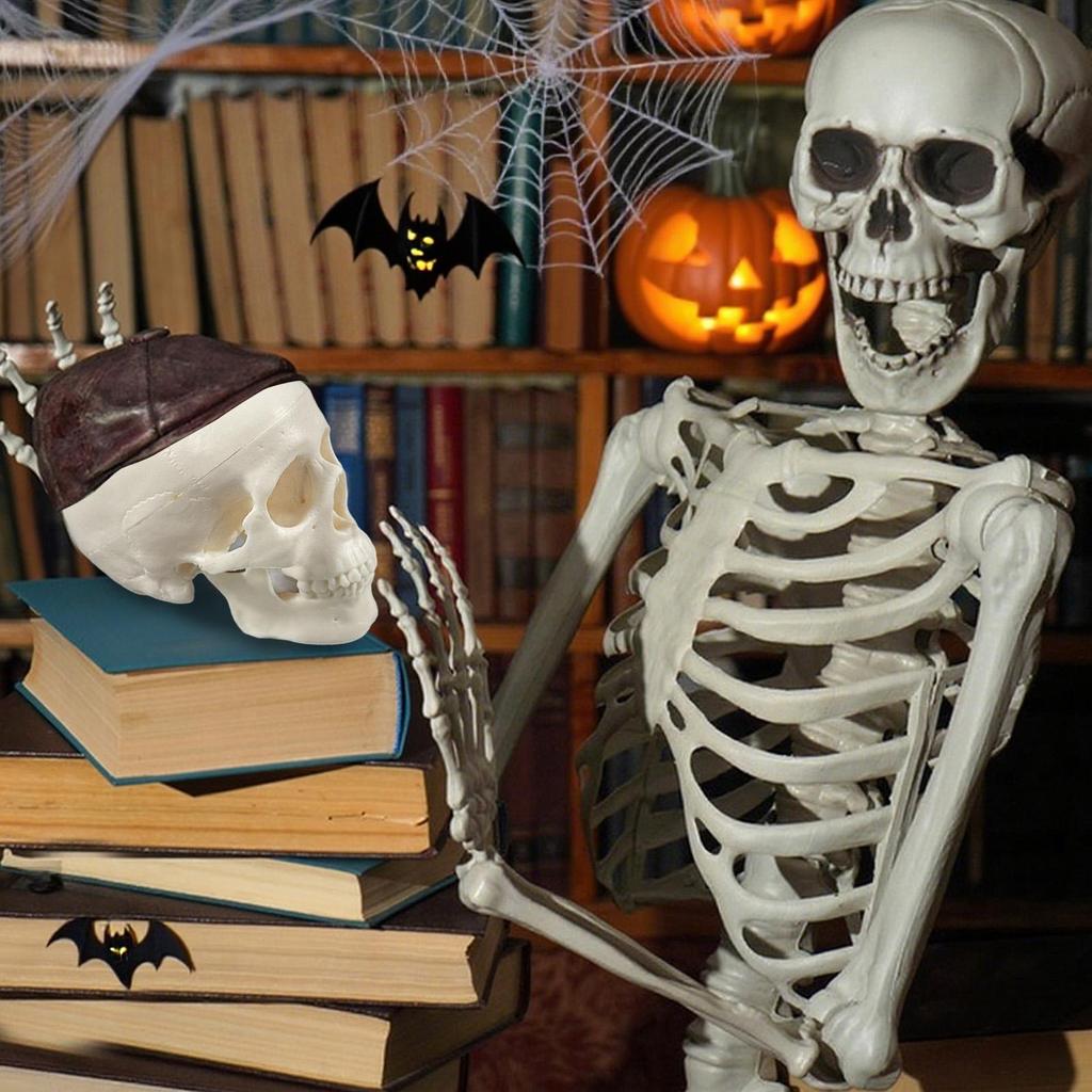 Skull Anatomy Model Skeleton Head Model Realistic Small Skull Crafts Halloween Decor for Teaching Anatomy Learning Classroom
