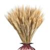 50pcs Rustic Dried Wheat Stalks Natural Dried Flowers Dry Wheat Spikes  Home Kitchen Decoration