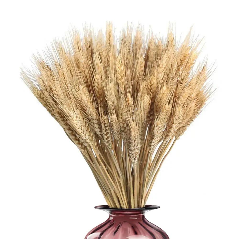 50pcs Rustic Dried Wheat Stalks Natural Dried Flowers Dry Wheat Spikes Home Kitchen Decoration