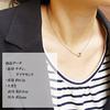 Phiten Crescent Moon Double Diamond Titanium Necklace for Simple [Fefe] Fe-fe×phiten [Special Edition] Men, Women, Couples,