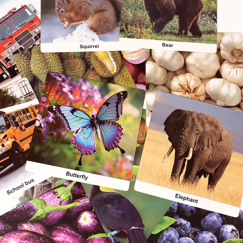 Early Education Visual Stim Cards: Newborn to 3-Year-Olds, Black-White & Color