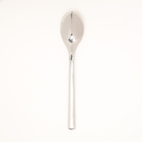 Snowpeak All Stainless Steel Dinner Spoon Nt 053