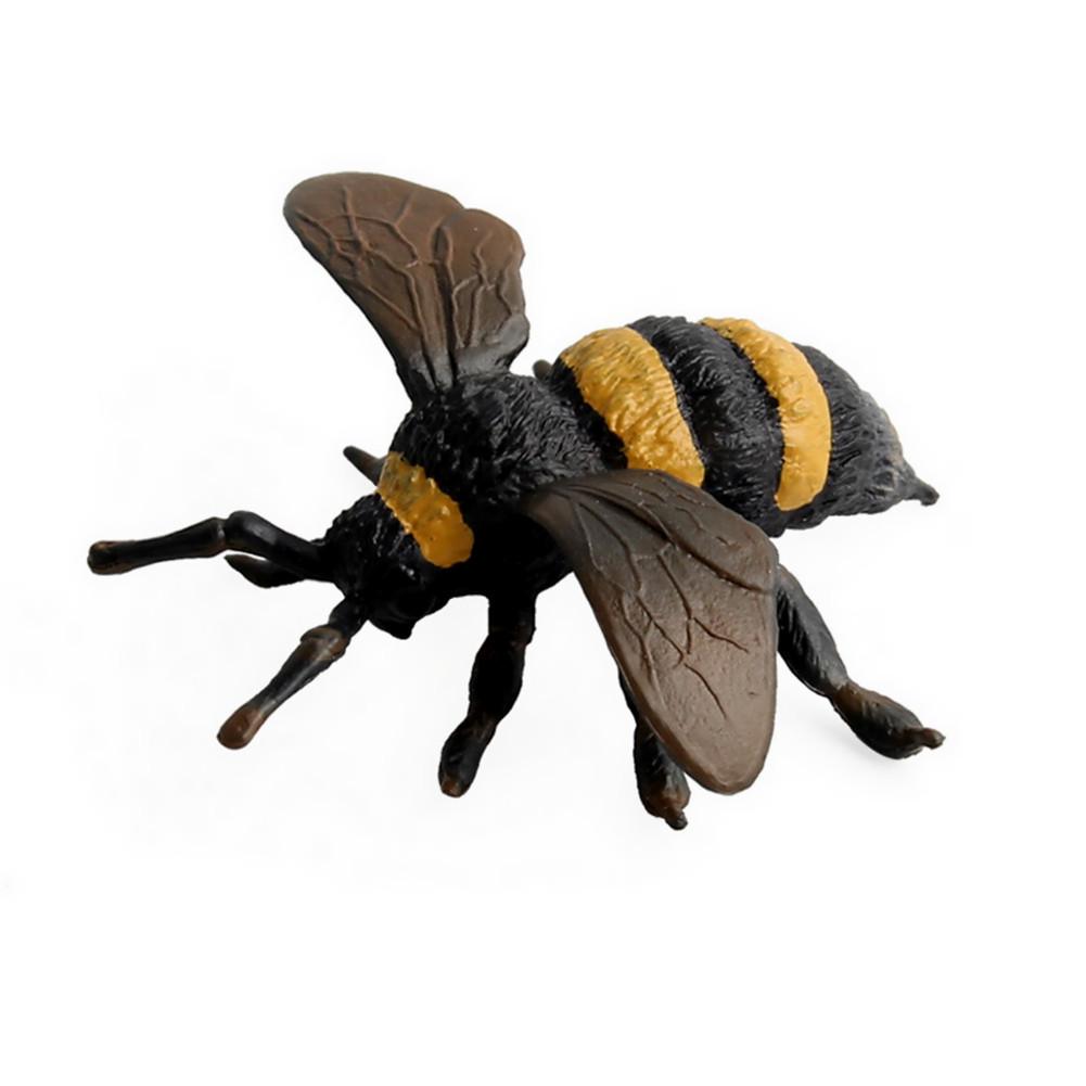 Çocuklar İçin Hayvan Oyuncakları Eğitim Kaynağı Yüksek Simülasyon Gerçekçi Böcek Figürleri 