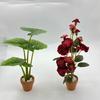 1Pcs Dollhouse Mini Philodendron 6-Petaled Rose Potted Plant Mini Leaf Potted Garden Home Decoration Model