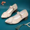 Pantofi cu toc înalt pentru femei Pantofi noi Mary Jane Pantofi casual din pânză de bumbac cu flori brodate de lux Eleganți cu vârf ascuțit, cu toc pătrat, pantofi cu toc
