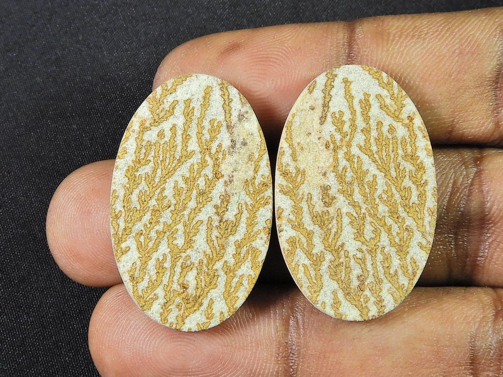 Natural Psilomelane Germane Dendrite pair Earring Making Stone 19X31X05 MM SK-784
