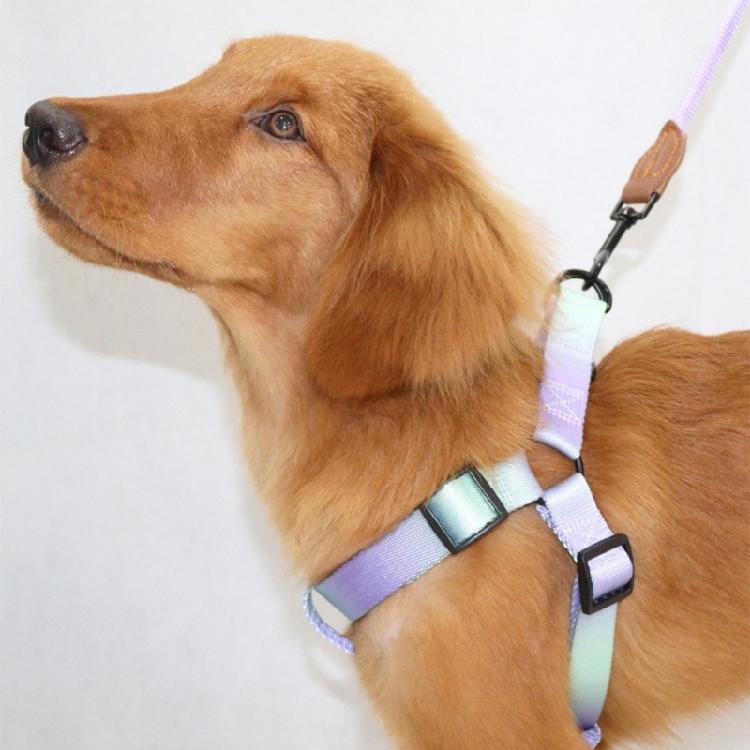 Dogs Harness & Leash Colorful Small Medium Dog Chest Belt Colorful Harness Rope