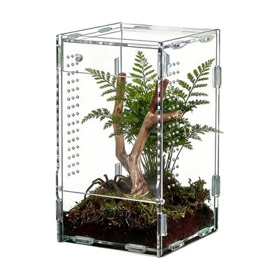 Acrylic Jumping Spider Enclosure Buckle Lock Escape Proof Spider House Transparent Ventilated Reptile Feeding Tank Pet Supplies