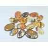 350Cts. Natural Forest Agate Oval Cabochon Loose Gemstone 15 Pcs Lot C-1947