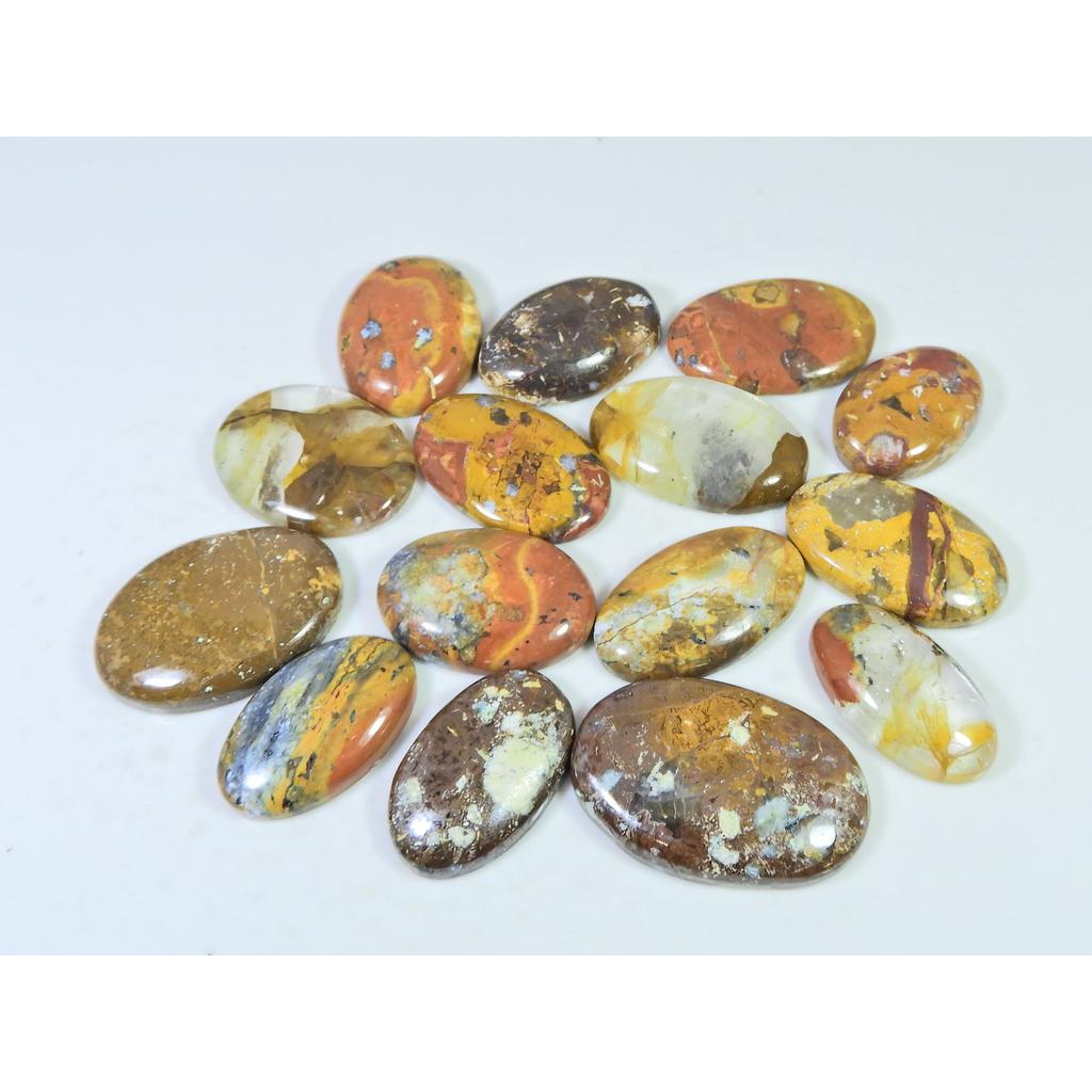 350Cts. Natural Forest Agate Oval Cabochon Loose Gemstone 15 Pcs Lot C-1947