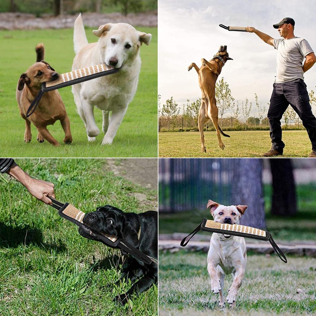 dog bite equipment