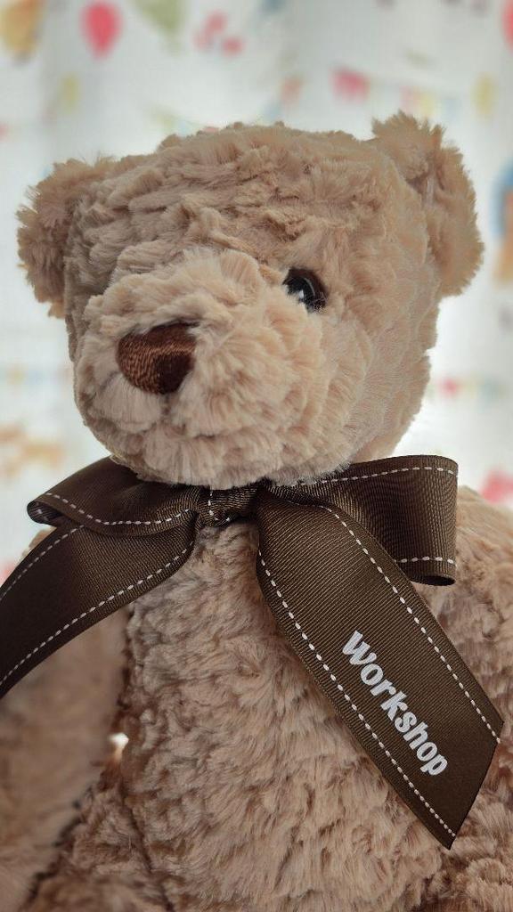 [USED] Korean Baskin-Robbins Teddy Bear
