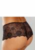 H2042 NUANCE, Women's Lace Panties, black 40/42