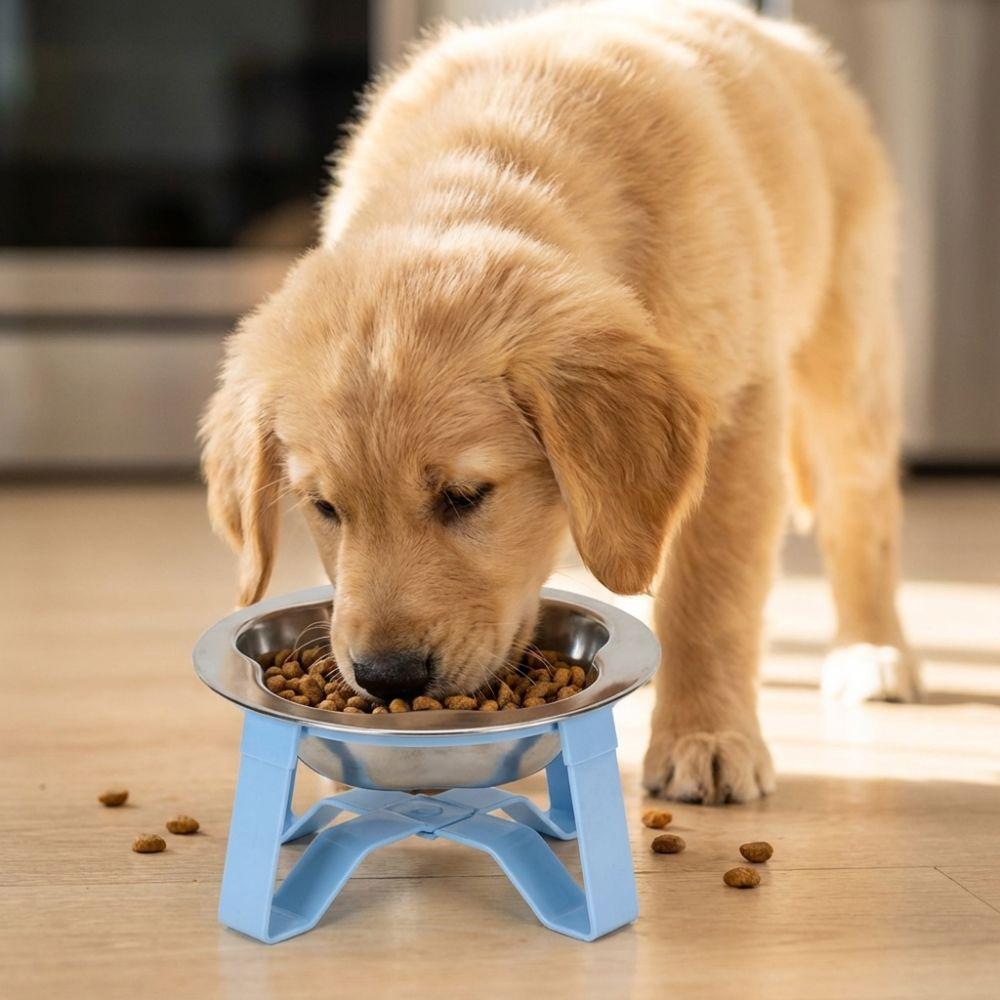 Detachable Pet High Footed Bowl Protect Cervical Spine Dog Drinking Bowl  Pet Feeding