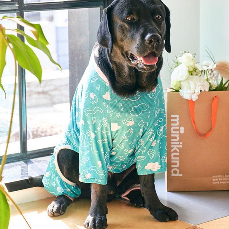 MUNIKUND Insektenschutz All-In-One : Grüner Garten