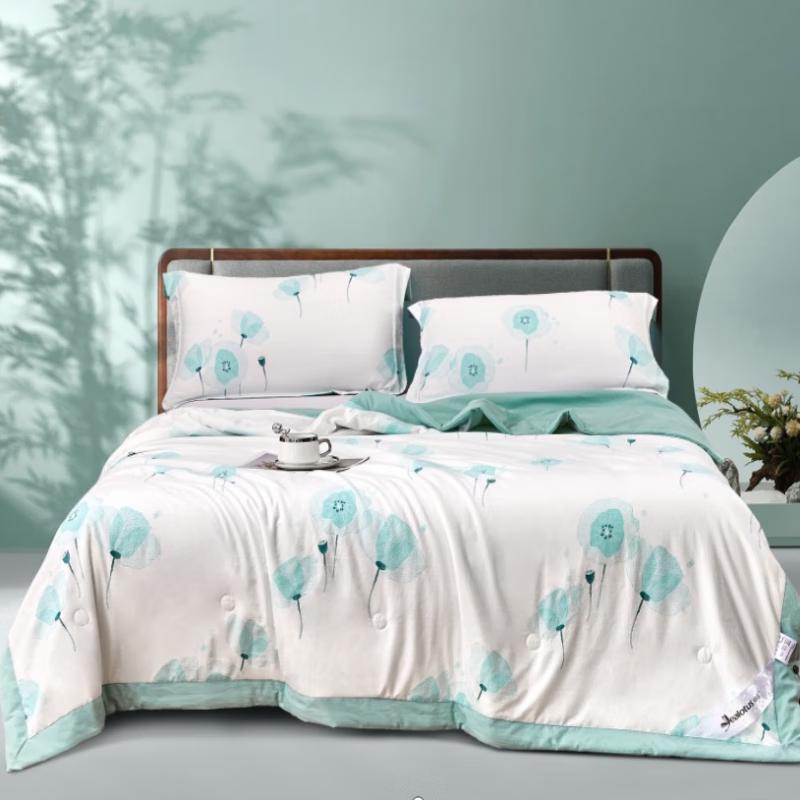 

Yilian Yayun Antibacterial Silk & Soybean Fiber Summer Quilt