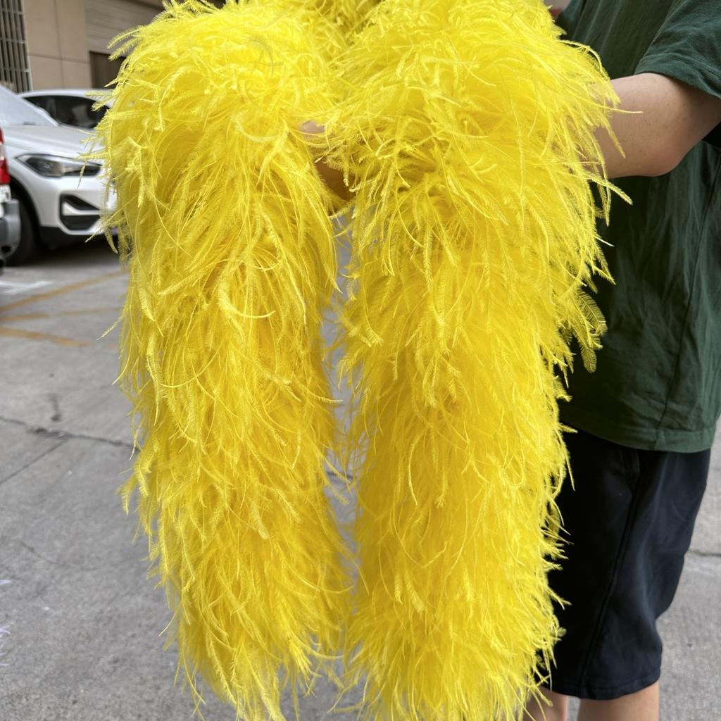 2M Red Ostrich Feathers Boa 1-10Ply Thick Natural Feather Shawl for Wedding Clothing Decoration Sewing Plumes Crafts Accessory