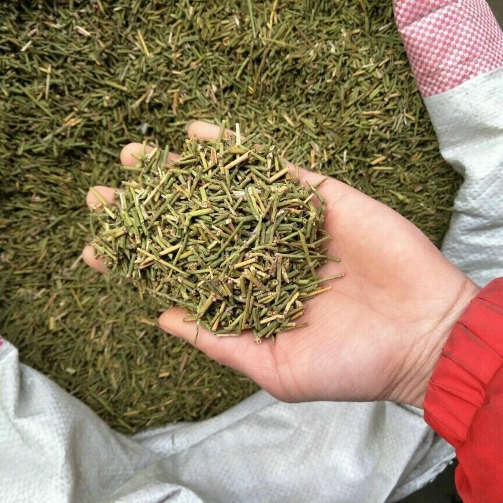 

Новейший чай Mo Mu & Huang Natural Energy Huang Tea с бесплатной доставкой 250g
