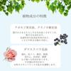 O SKIN HAIR O Imagination Water 120ml Rosewood Scent Scalp Body Room Spray & Toner, Toner, Mist,