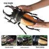 Large Soft Insect Model: Stag Beetle, Rhinoceros Beetle, Grasshopper, Mantis Toy for Kids
