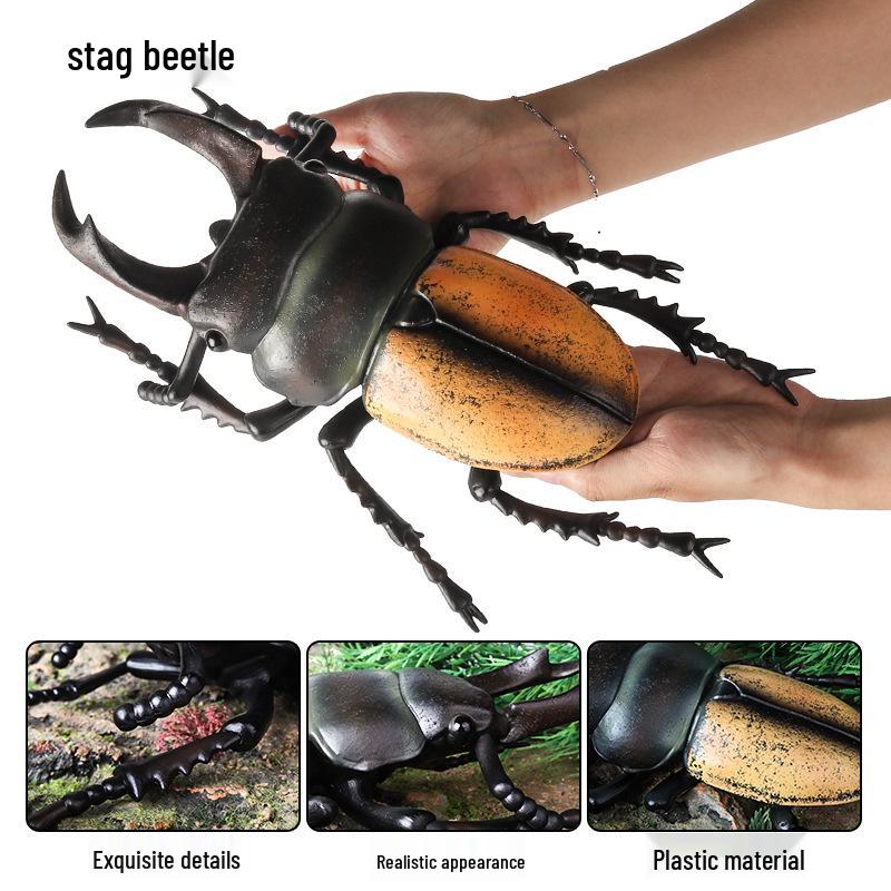 Large Soft Insect Model: Stag Beetle, Rhinoceros Beetle, Grasshopper, Mantis Toy for Kids