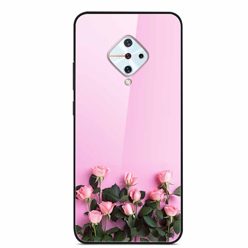Tempered Glass Case For Vivo V17 Case Russia Glass Back Cover Soft Bumper For Vivo V17 Phone Cases V 17 Funda Y9s S1 Pro Coque