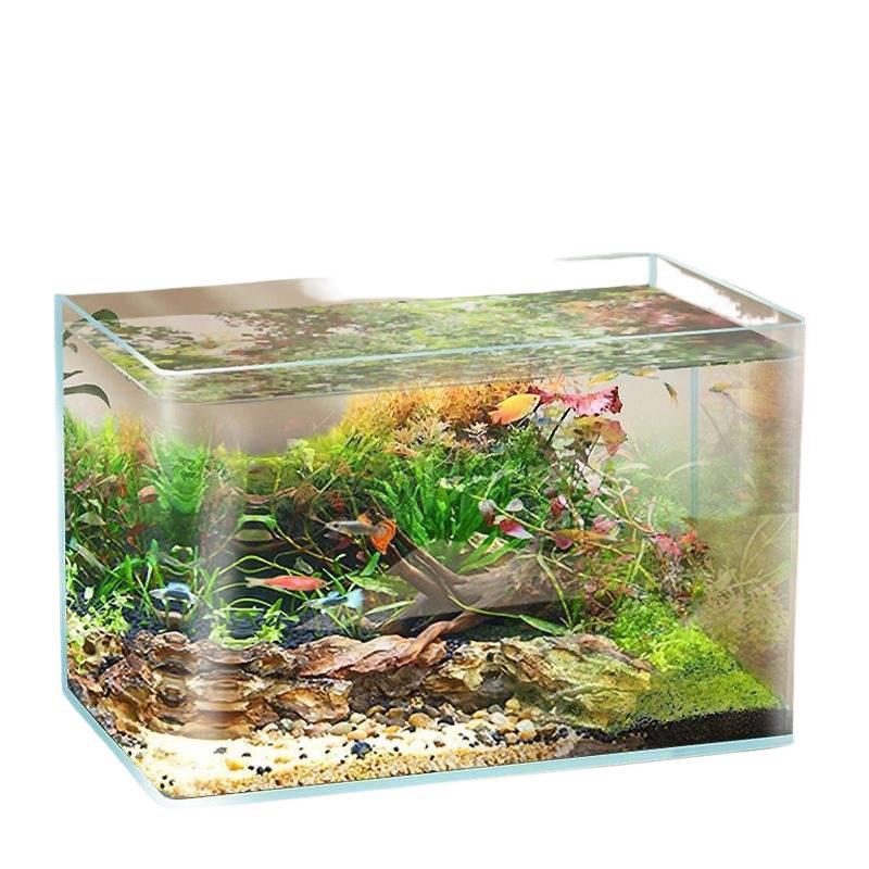 Ultra White Gold Crystal Fish Tank for Living Room, Office, Hotel Lobby - Ornamental Large Display